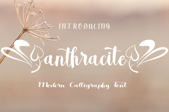 Anthracite: A Whimsical Script Font