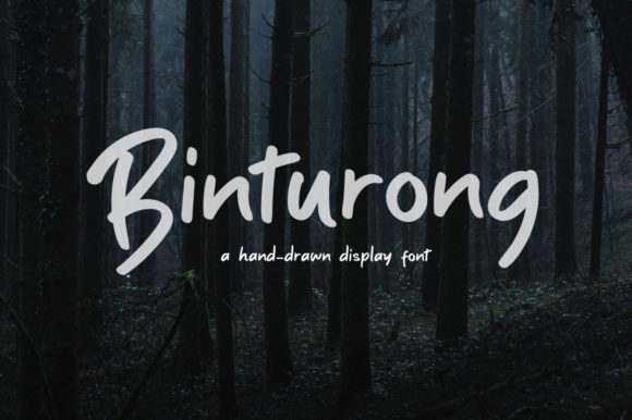Binturong: A Playful Script Font