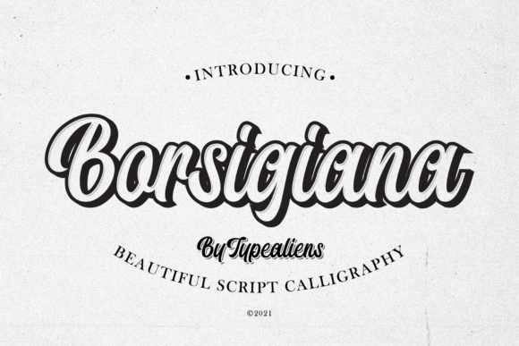 Borsigiana: A Stylish Handwritten Font