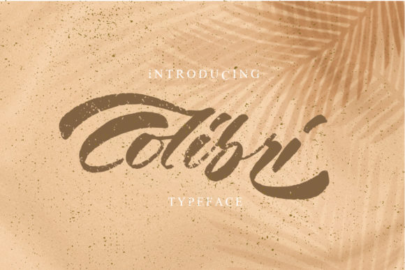 Colibri: A Bold Script Font for Digital Marketing