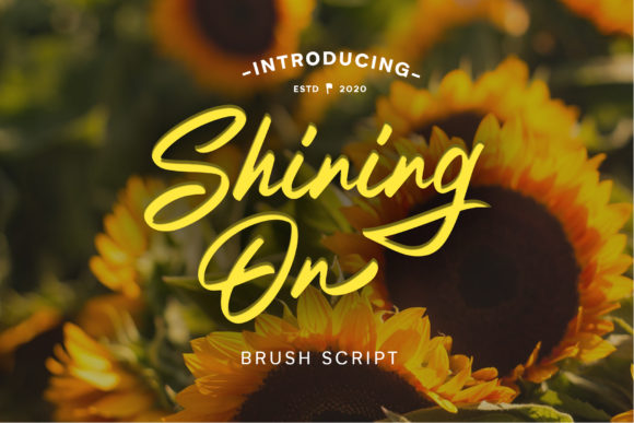 Shining on Font Review