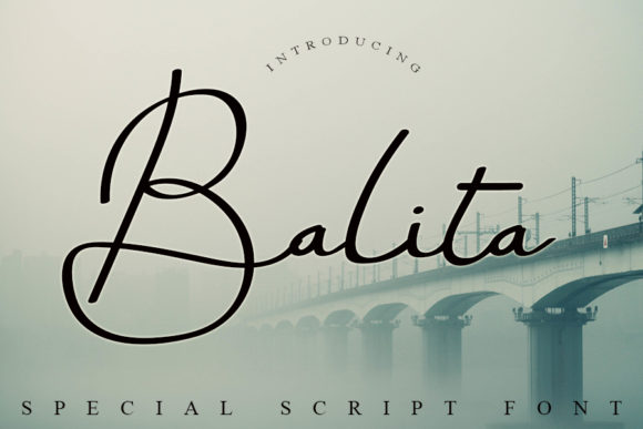 Upgrade Your Brand with Balita